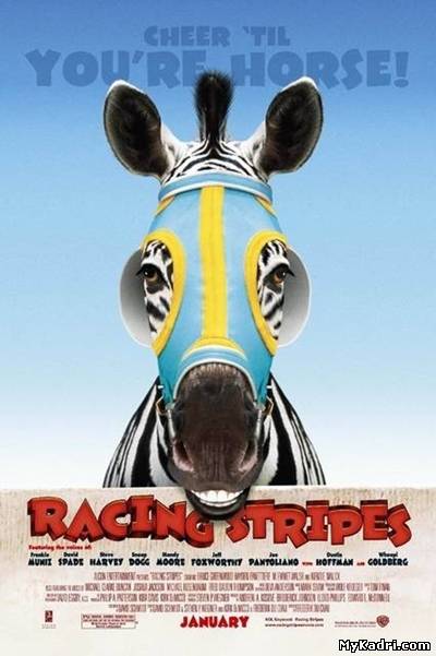 ზოლიანი დოღი / Racing stripes