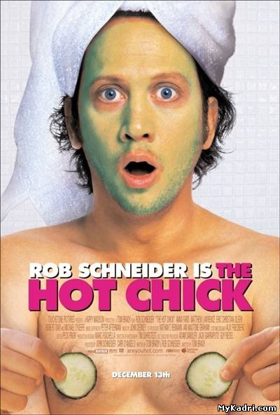 მაგარი გოგონა / The Hot Chick